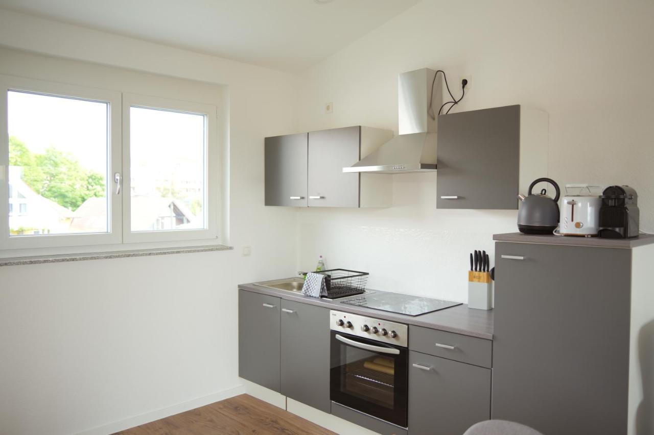 Exklusive Neubauwohnung Mit Wundervoller Aussicht Naehe Europapark Und Rulantica Burgheim エクステリア 写真