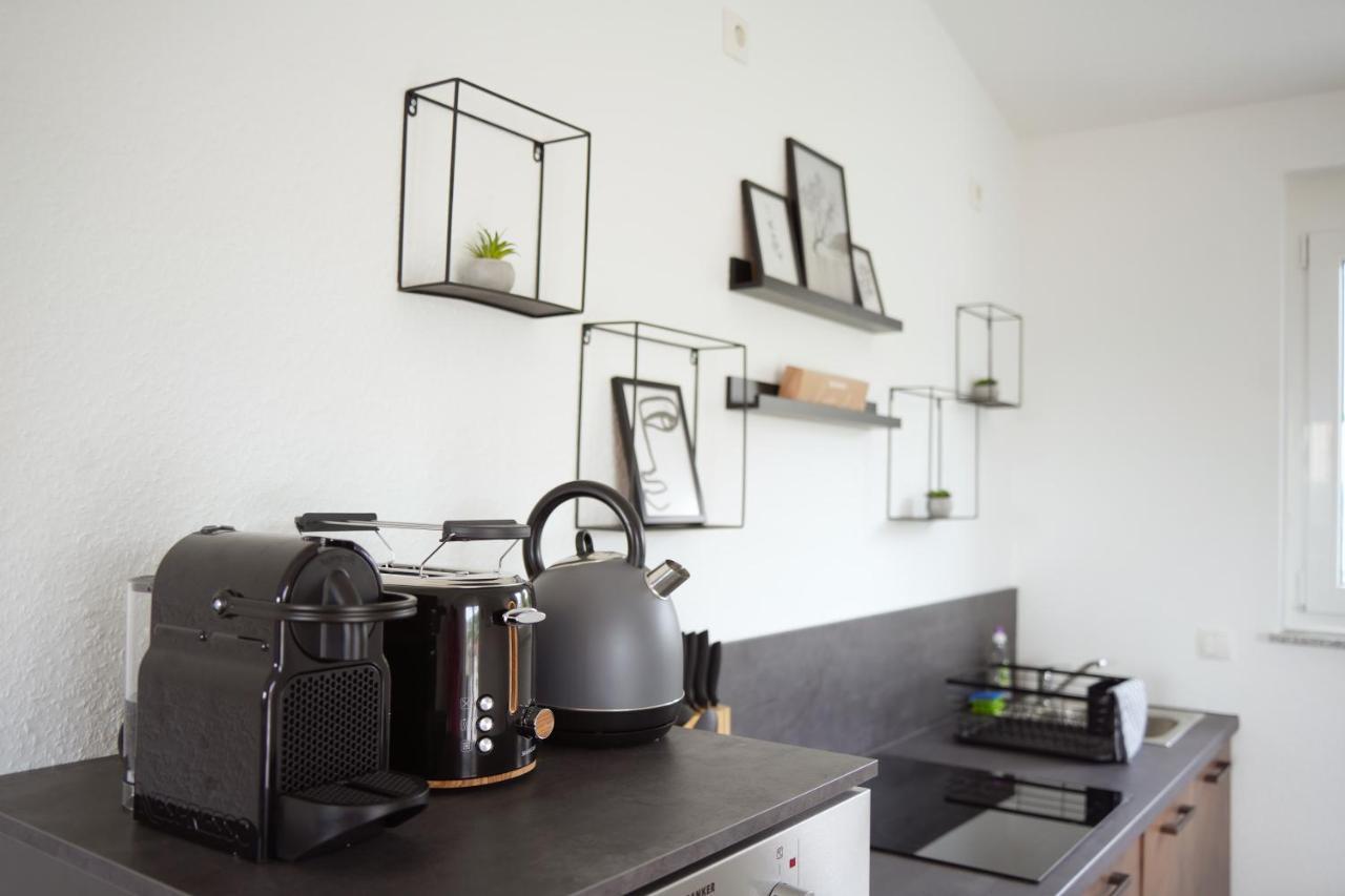 Exklusive Neubauwohnung Mit Wundervoller Aussicht Naehe Europapark Und Rulantica Burgheim エクステリア 写真