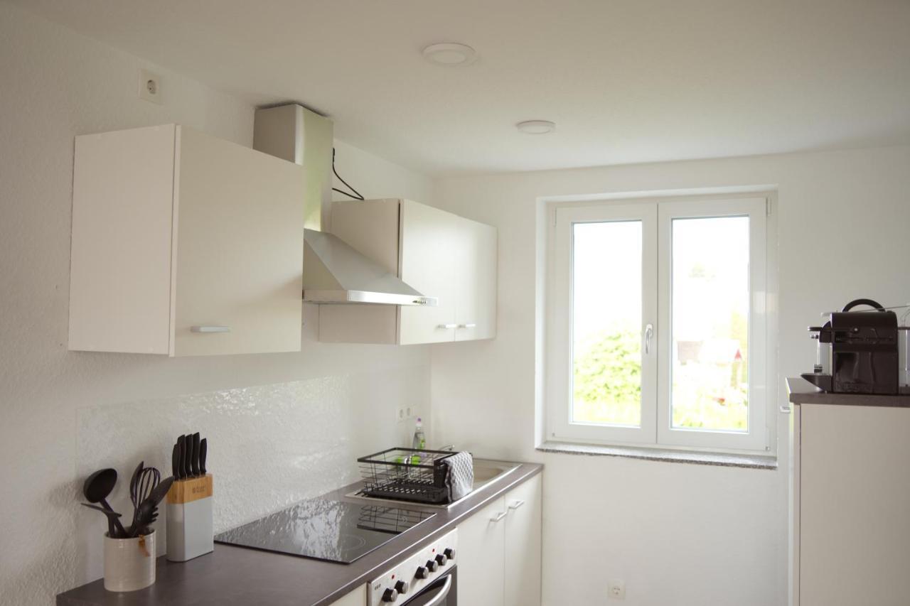 Exklusive Neubauwohnung Mit Wundervoller Aussicht Naehe Europapark Und Rulantica Burgheim エクステリア 写真