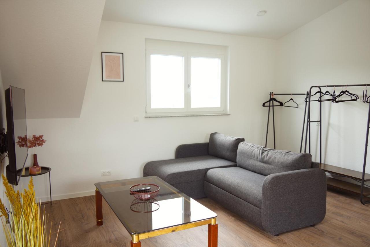 Exklusive Neubauwohnung Mit Wundervoller Aussicht Naehe Europapark Und Rulantica Burgheim エクステリア 写真