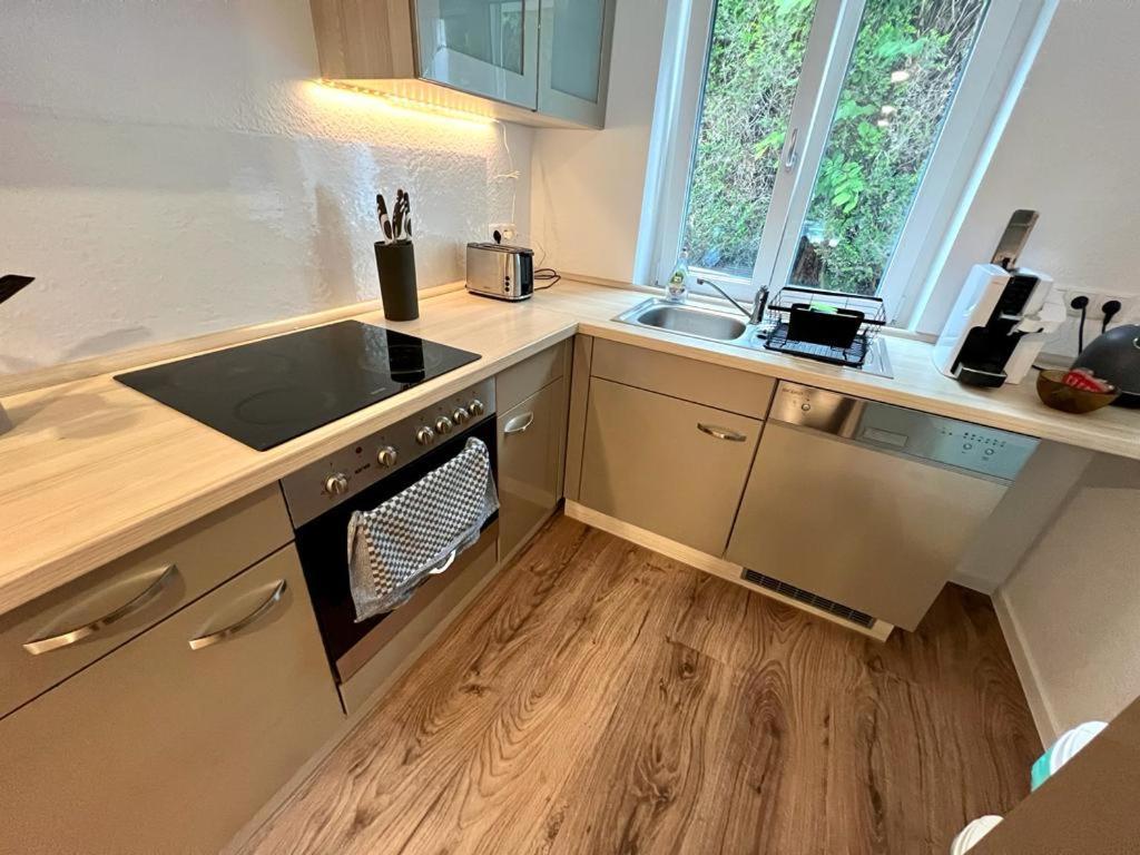 Exklusive Neubauwohnung Mit Wundervoller Aussicht Naehe Europapark Und Rulantica Burgheim エクステリア 写真